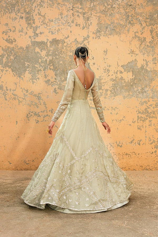 Sage Green Embroidered Luxury Maxi Dress with Organza Dupatta