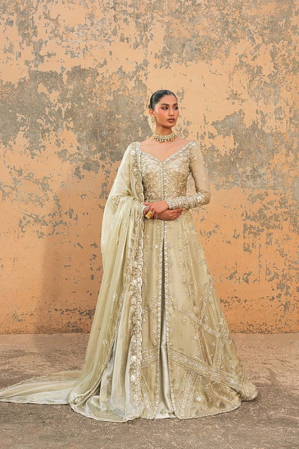 Sage Green Embroidered Luxury Maxi Dress with Organza Dupatta